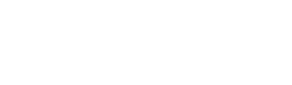 2011 State of the Industry Technology In Georgia Report 